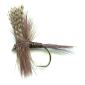 Quill Gordon dry fly