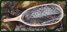 Brodin Catch and Release net