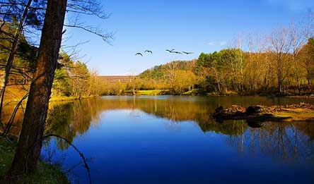 South Holston River Hatch Chart