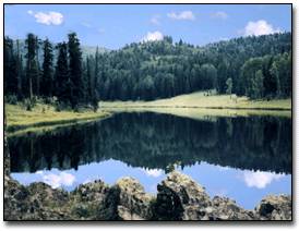 Pinetop area in the White Mountains  of eastern Arizona