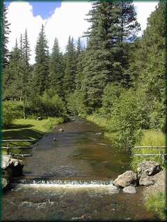 White Mountains of Arizona