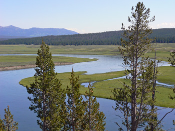 Yellowstone river in Yellowstone National Park