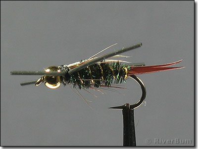 Beadhead Rubber Leg Prince Nymph imitates the Backswimmer