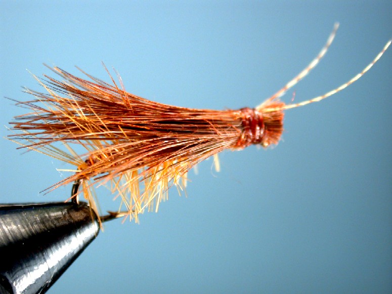 brown stonfly imitation