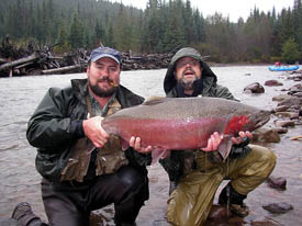 Bull Trout