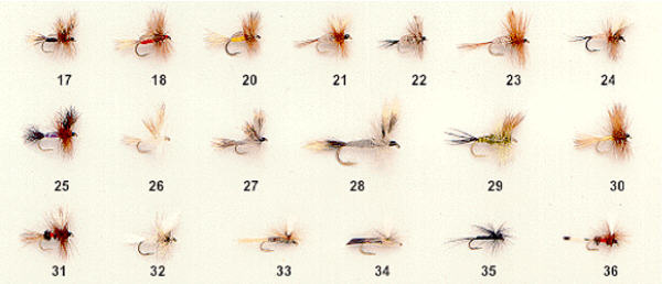 Wulff Assortment of Dry Flies