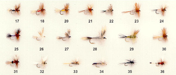 https://www.fly-fishing-discounters.com/images/dry-flies-wulff.jpg