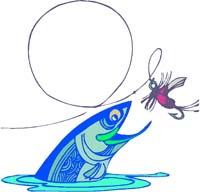 fishing cartoon