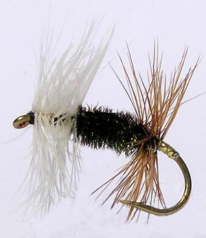 Dry Fly in need of floatant
