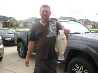 4.15 lb crappie