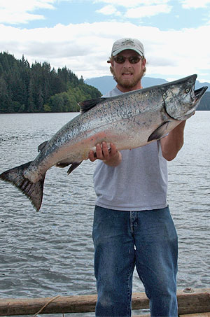 Chinook Salmon