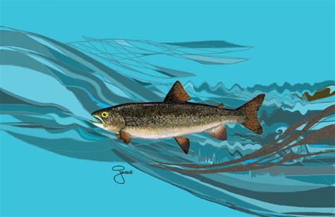 LAKE TROUT