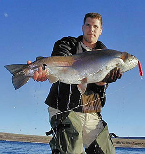world record rainbow trout