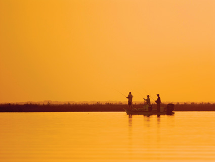 In Search for the Spotted Sea Trout