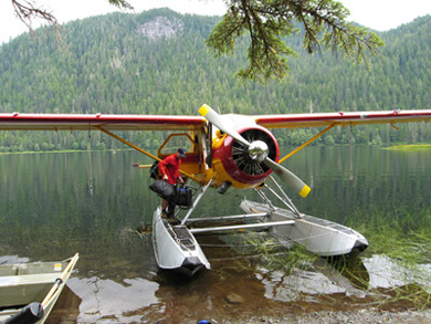 Alaska's unusual form of transportation