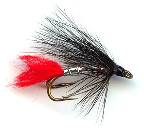 STREAMERS -- Used by fly fishers who are serious about catching fish.