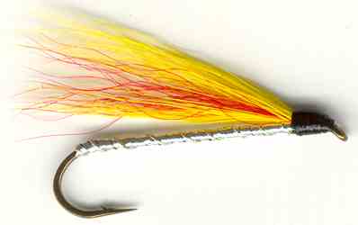 Mickey Finn Streamer