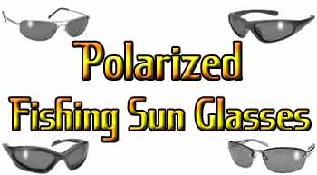 Polarized Sunglasses