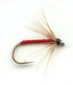 WET FLY WITH SOFT HACKLE