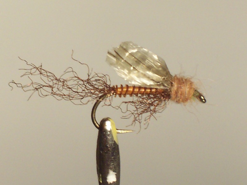 YELLOW SALLY WET FLY