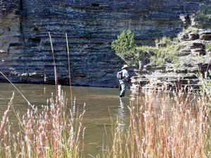 Fishing the Pecos River
