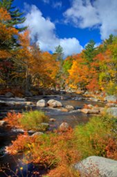 Fly fishing in northeastern Tennessee