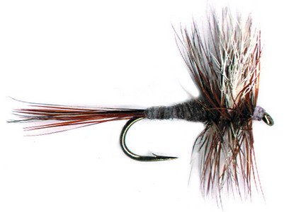 FLY FISHING FLIES ARE YUMMY, BUT TROUT LOVE REAL FLIES. YOU NEED
